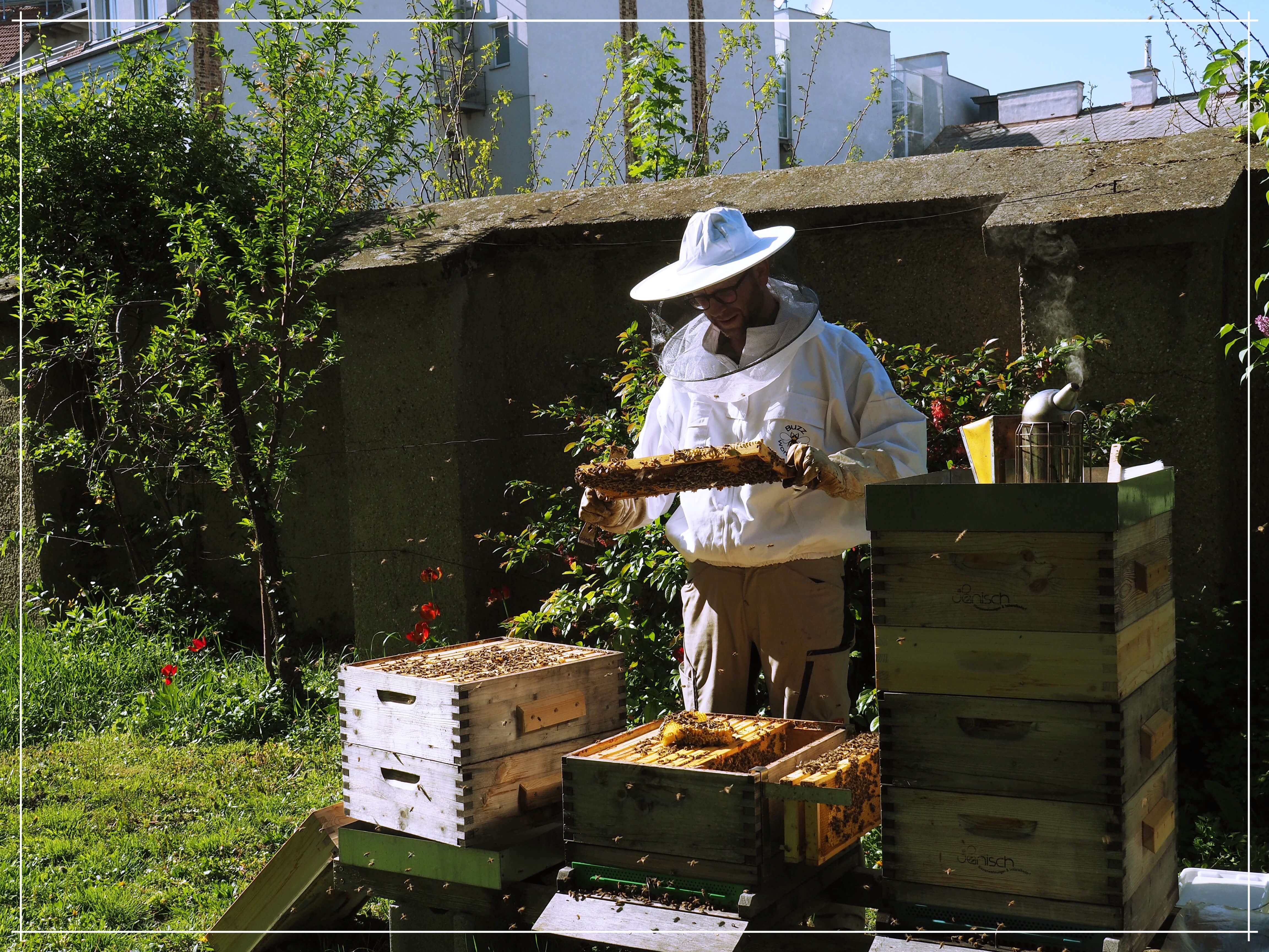 Imker Roland im bienenfreundlichen Garten